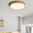 Светодиодные плоские потолочные светильники KIER 60 см  Желтый фото 18
